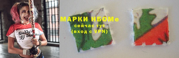 гашик Гусь-Хрустальный