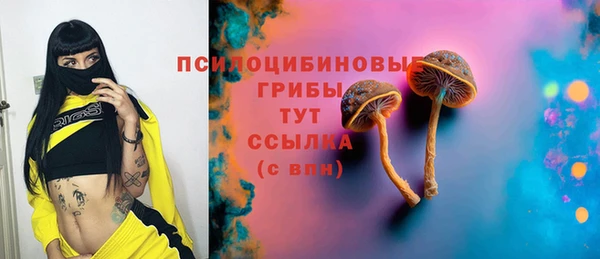 метадон Гусиноозёрск