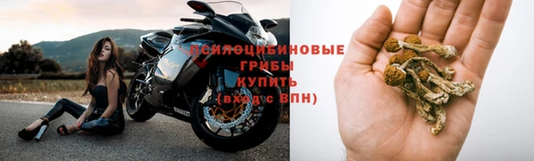 метадон Гусиноозёрск