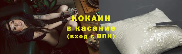 гашик Гусь-Хрустальный