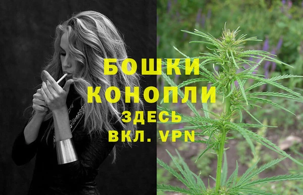 гашик Гусь-Хрустальный