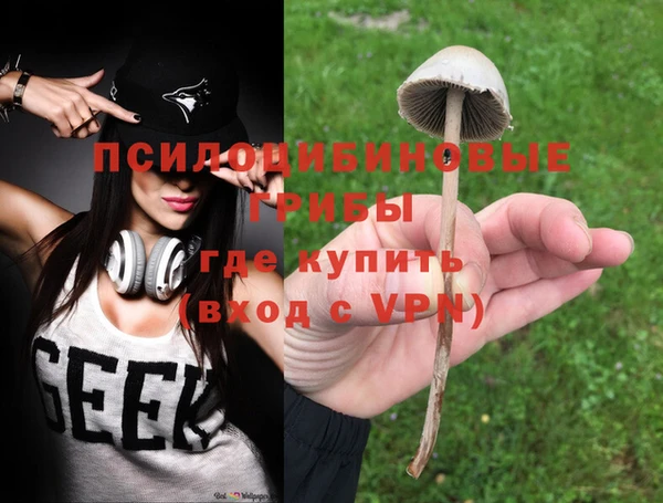метадон Гусиноозёрск