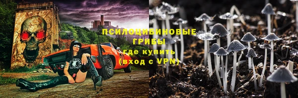 метадон Гусиноозёрск