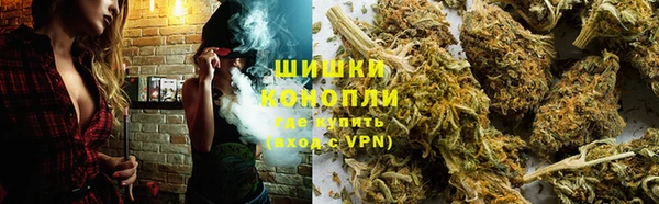 гашик Гусь-Хрустальный