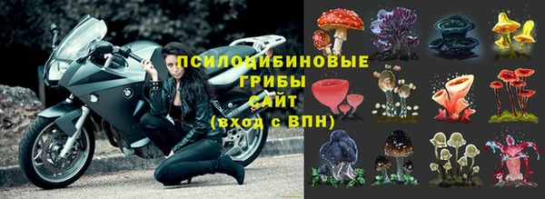 гашик Гусь-Хрустальный
