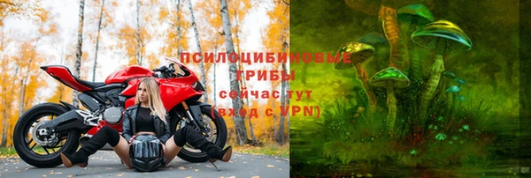 прущие крисы Гусев