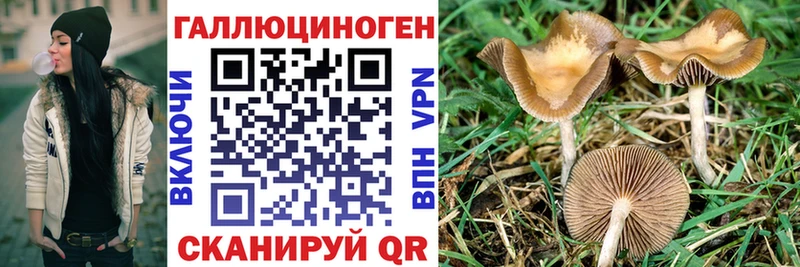 Купить закладки  Луга  Галлюциногенные грибы прущие грибы 